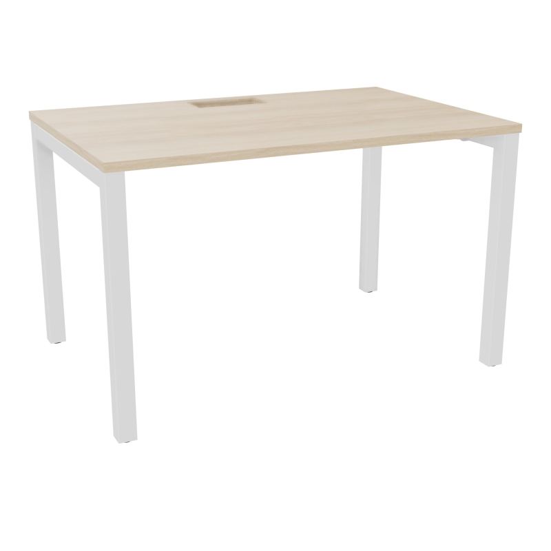 ARIAL T RECT L120 P80 H73,5 EP 25 mm découpé trappe SC PIED ARCHE CARRE FIXE