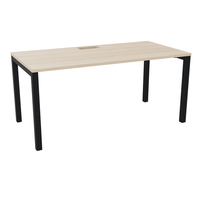 ARIAL T RECT L160 P80 H73,5 EP 25 mm découpé trappe SC PIED ARCHE CARRE FIXE