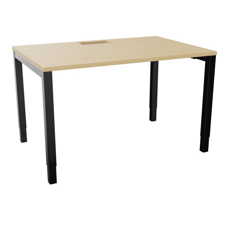 ARIAL T RECT L120 P80 H73,5 EP 25 mm découpé trappe SC PIED ARCHE CARRE RH R1 SG