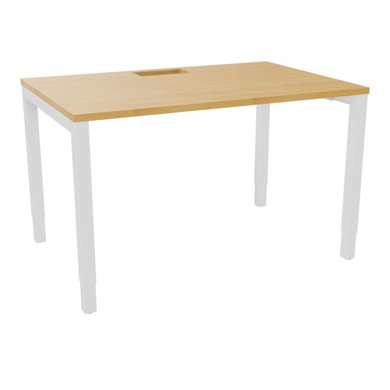 ARIAL T RECT L120 P80 H73,5 EP 25 mm découpé trappe SC PIED ARCHE CARRE RH R5 SO