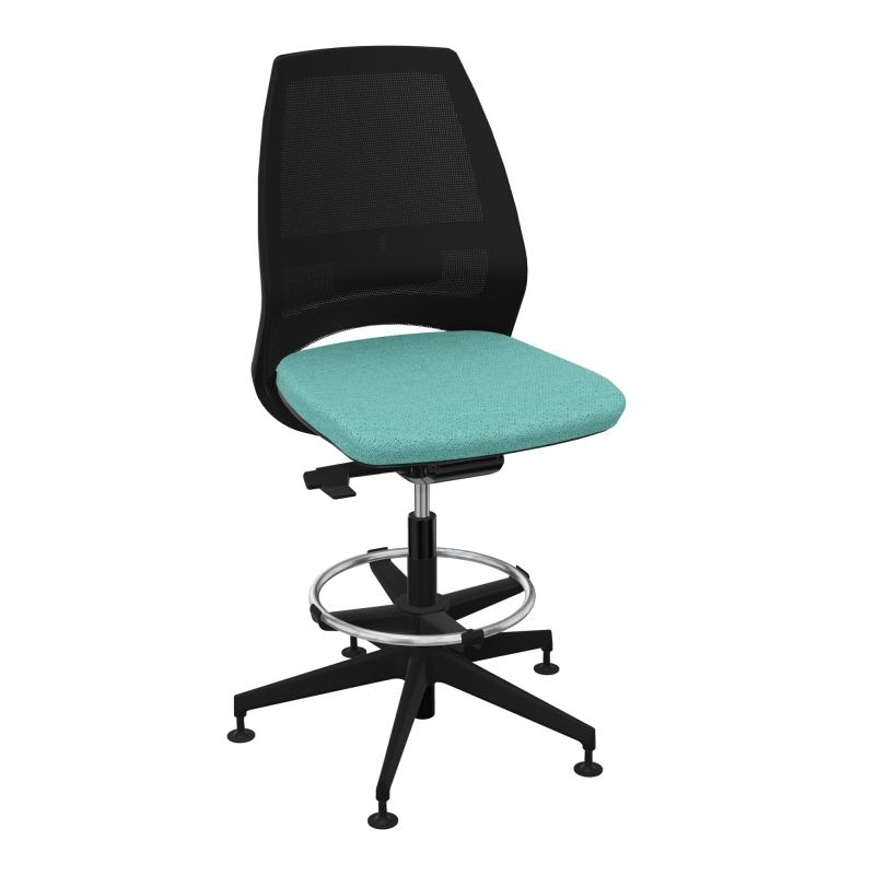 ELIOTT SIEGE DESSIN.AUTOREG.BD RES COQ.NOIR PIET.PATINS