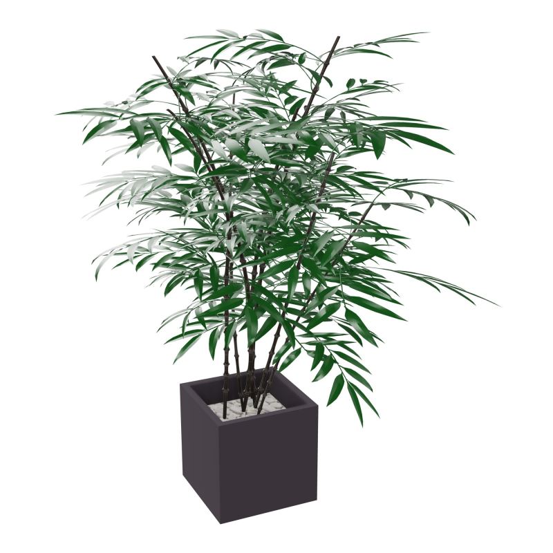 BAMBOU ORIENTAL POT CAR GRISANTHR H44 X L40 X P40 CM GRAVIER GRIS