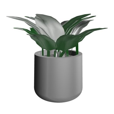HOSTA POT ROND H11 CM DIAM.13 CM JT JT