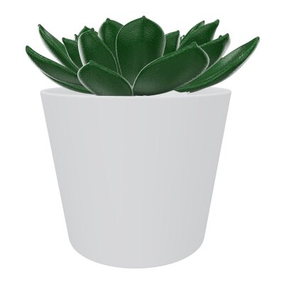 AGAVE POT ROND H11 CM DIAM.13 CM JU JU
